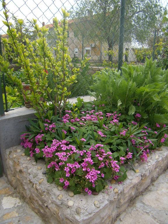 Apartment Slavica โลโซวาซ ภายนอก รูปภาพ