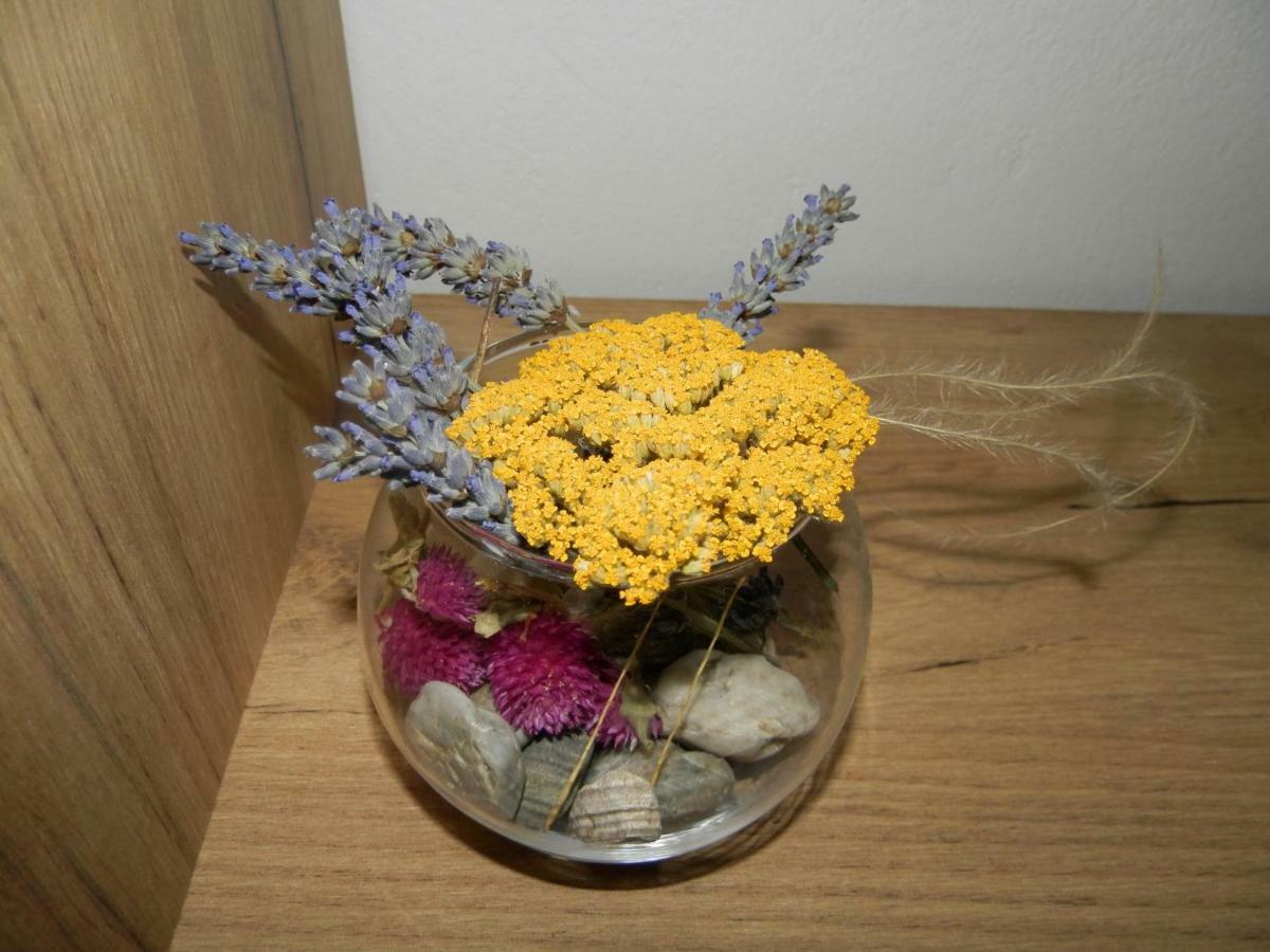 Apartment Slavica โลโซวาซ ภายนอก รูปภาพ